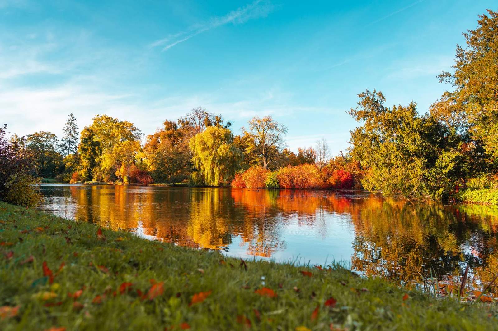 MySQL使用trace命令验证查询成本